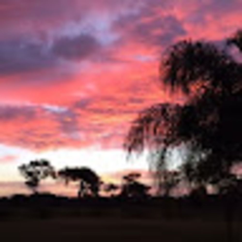 Meet your Posher, Marty